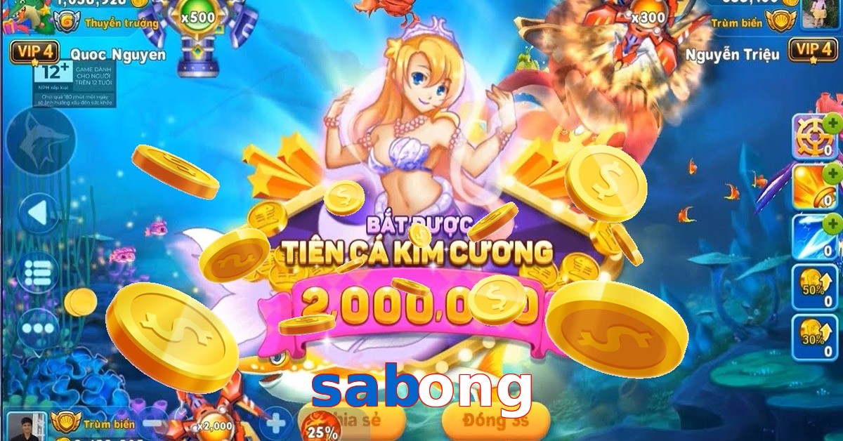 sabong